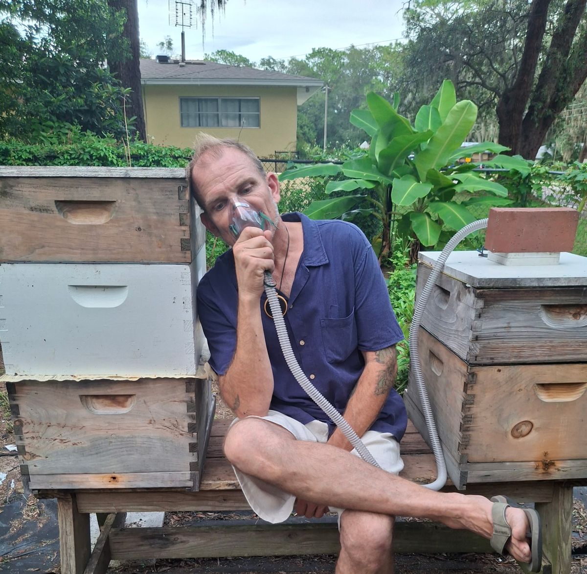 Our beekeeper sitting between two hives, breathing hive air through a mask